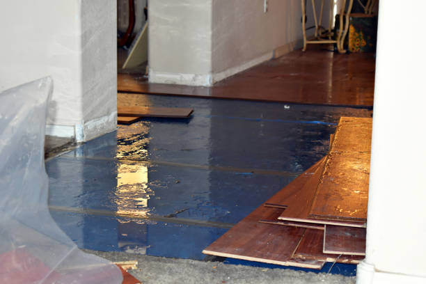 Professional Flood Cleanup technician working in Middletown, IN
